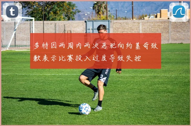 多特因两周内两次恶犯向约基奇致歉表示比赛投入过度导致失控